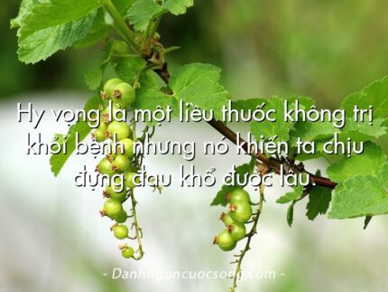 Hy vọng là một liều thuốc không trị khỏi bệnh nhưng nó khiến ta chịu đựng đau khổ được lâu.