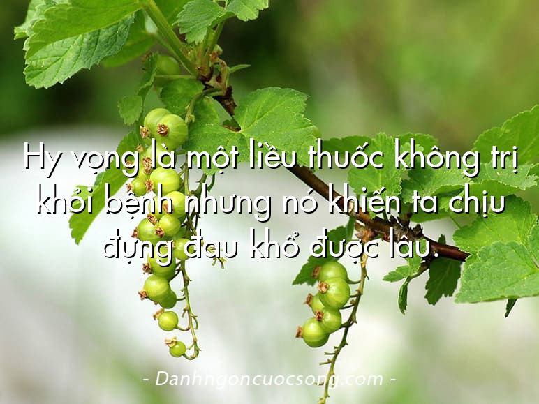 Hy vọng là một liều thuốc không trị khỏi bệnh nhưng nó khiến ta chịu đựng đau khổ được lâu.