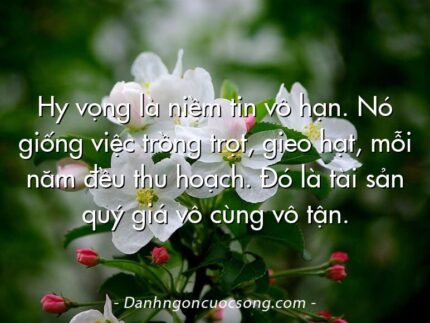 Hy vọng là niềm tin vô hạn. Nó giống việc trồng trọt, gieo hạt, mỗi năm đều thu hoạch. Đó là tài sản quý giá vô cùng vô tận.