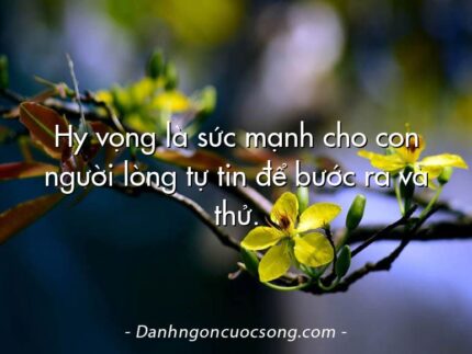 Hy vọng là sức mạnh cho con người lòng tự tin để bước ra và thử.