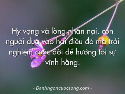 Hy vọng và lòng nhẫn nại, con người dựa vào hai điều đó mà trải nghiệm cuộc đời để hướng tới sự vĩnh hằng.