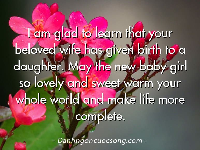 I am glad to learn that your beloved wife has given birth to a daughter. May the new baby girl so lovely and sweet warm your whole world and make life more complete.