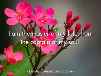 I am the master of my fate; I am the captain of my soul.