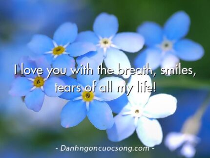 I love you with the breath, smiles, tears of all my life!
