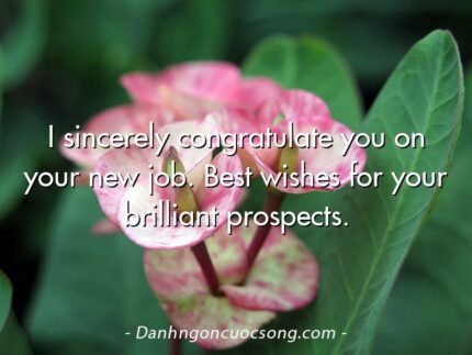 I sincerely congratulate you on your new job. Best wishes for your brilliant prospects.