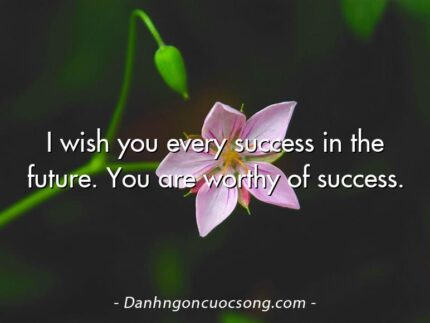 I wish you every success in the future. You are worthy of success.