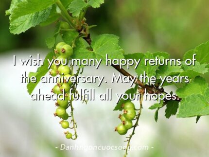 I wish you many happy returns of the anniversary. May the years ahead fulfill all your hopes.