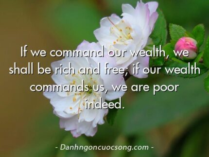 If we command our wealth, we shall be rich and free; if our wealth commands us, we are poor indeed.
