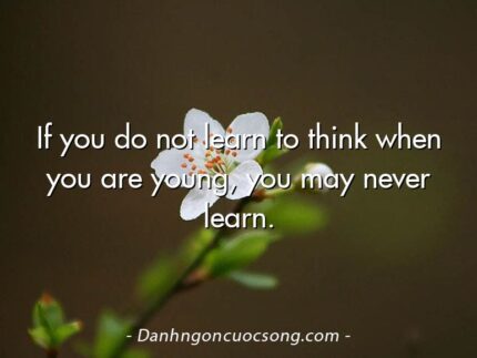 If you do not learn to think when you are young, you may never learn.