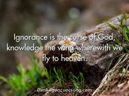 Ignorance is the curse of God, knowledge the wing wherewith we fly to heaven.