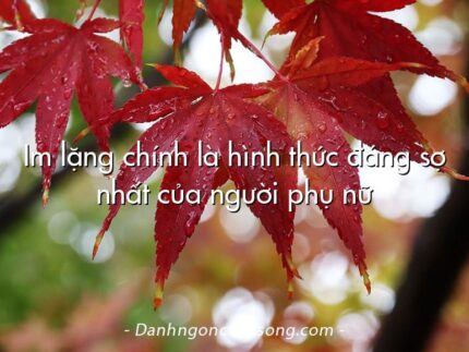 Im lặng chính là hình thức đáng sợ nhất của người phụ nữ