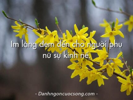 Im lặng đem đến cho người phụ nữ sự kính nể.
