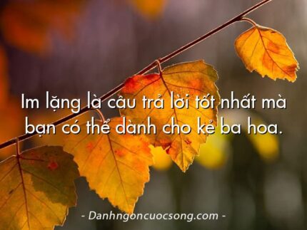 Im lặng là câu trả lời tốt nhất mà bạn có thể dành cho kẻ ba hoa.