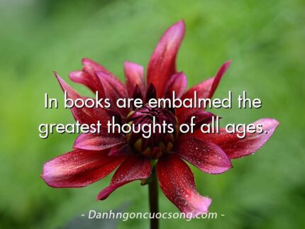 In books are embalmed the greatest thoughts of all ages.