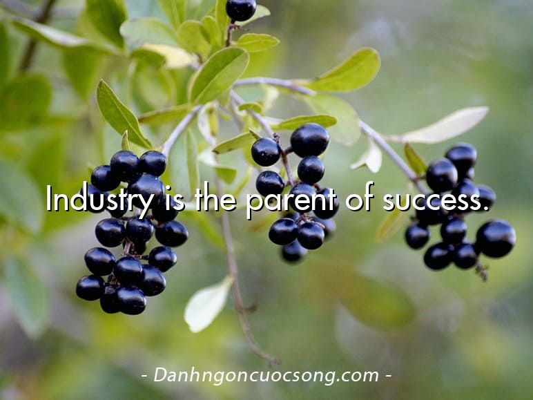 Industry is the parent of success.