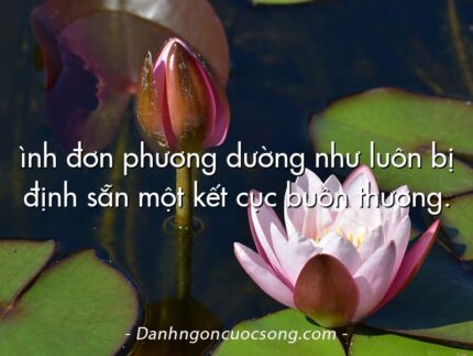 ình đơn phương dường như luôn bị định sẵn một kết cục buồn thương.