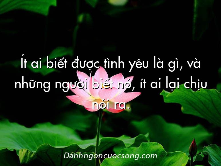 Ít ai biết được tình yêu là gì, và những người biết nó, ít ai lại chịu nói ra.