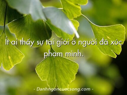 Ít ai thấy sự tài giỏi ở người đã xúc phạm mình.