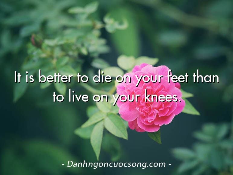 It is better to die on your feet than to live on your knees.