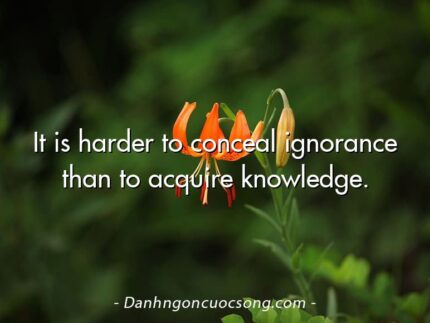 It is harder to conceal ignorance than to acquire knowledge.