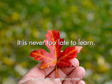It is never too late to learn.
