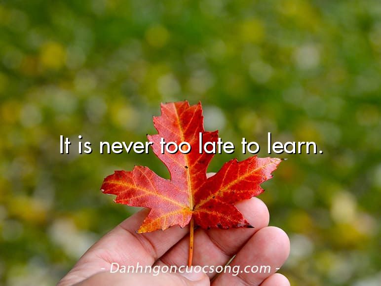 It is never too late to learn.