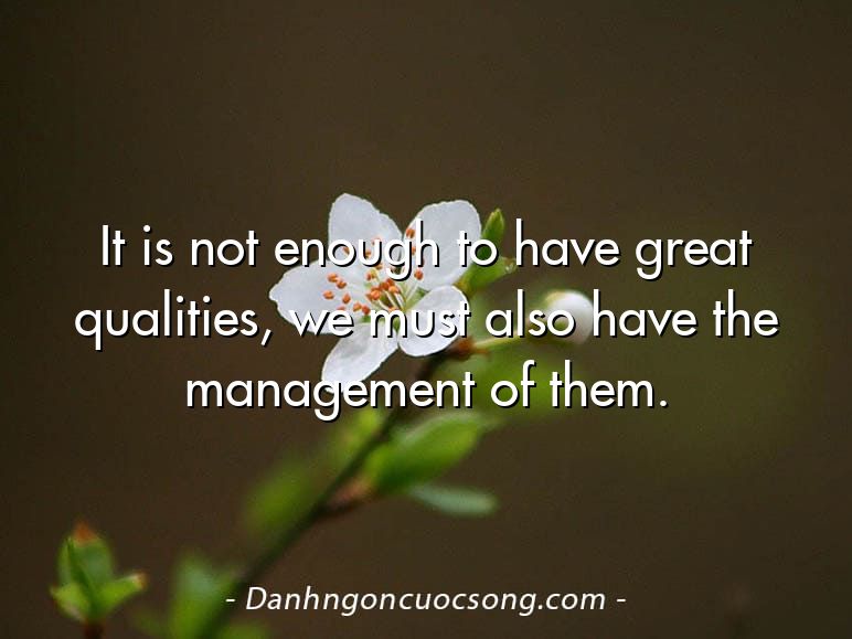 It is not enough to have great qualities, we must also have the management of them.