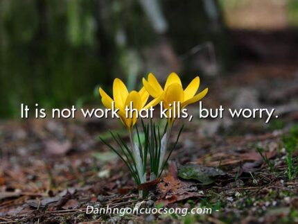 It is not work that kills, but worry.