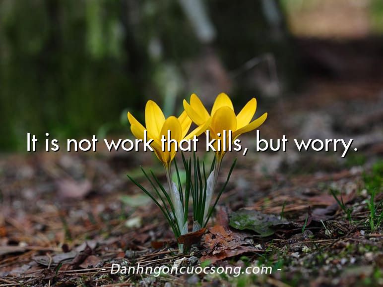 It is not work that kills, but worry.