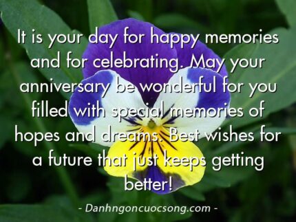 It is your day for happy memories and for celebrating. May your anniversary be wonderful for you filled with special memories of hopes and dreams. Best wishes for a future that just keeps getting better!