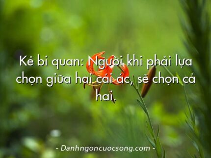 Kẻ bi quan: Người khi phải lựa chọn giữa hai cái ác, sẽ chọn cả hai.