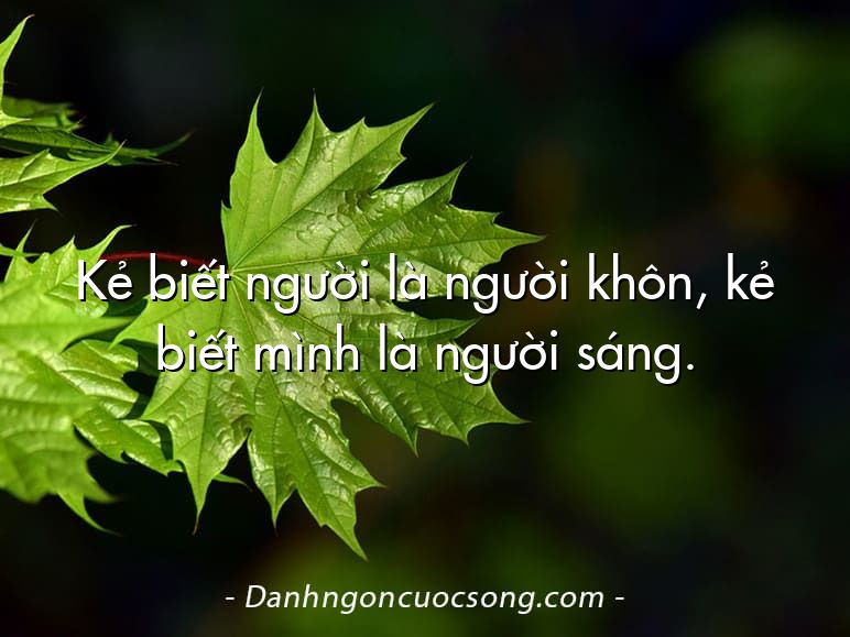 Kẻ biết người là người khôn, kẻ biết mình là người sáng.