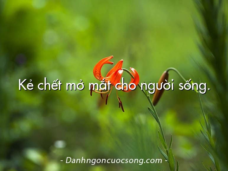 Kẻ chết mở mắt cho người sống.