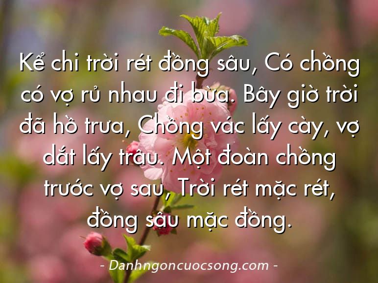 Kể chi trời rét đồng sâu, Có chồng có vợ rủ nhau đi bừa. Bây giờ trời đã hồ trưa, Chồng vác lấy cày, vợ dắt lấy trâu. Một đoàn chồng trước vợ sau, Trời rét mặc rét, đồng sâu mặc đồng.