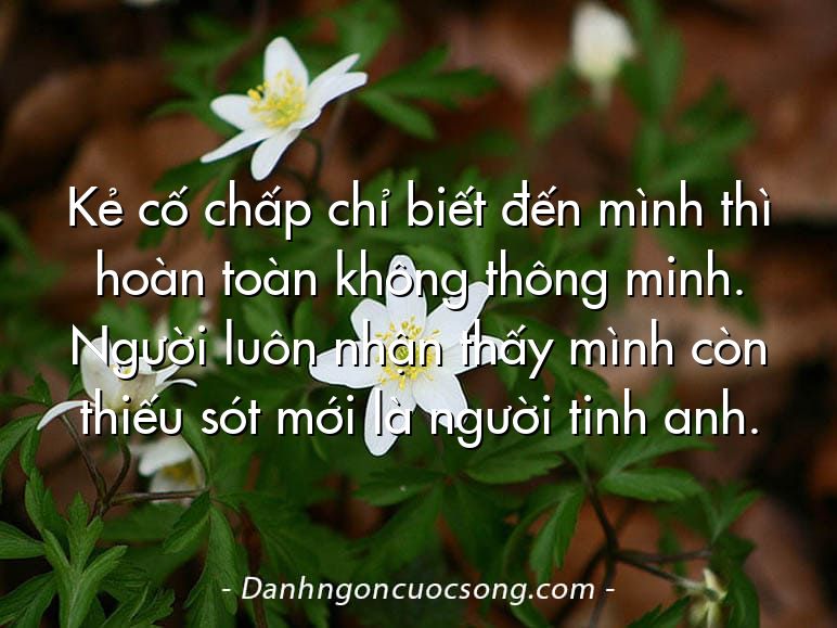 Kẻ cố chấp chỉ biết đến mình thì hoàn toàn không thông minh. Người luôn nhận thấy mình còn thiếu sót mới là người tinh anh.
