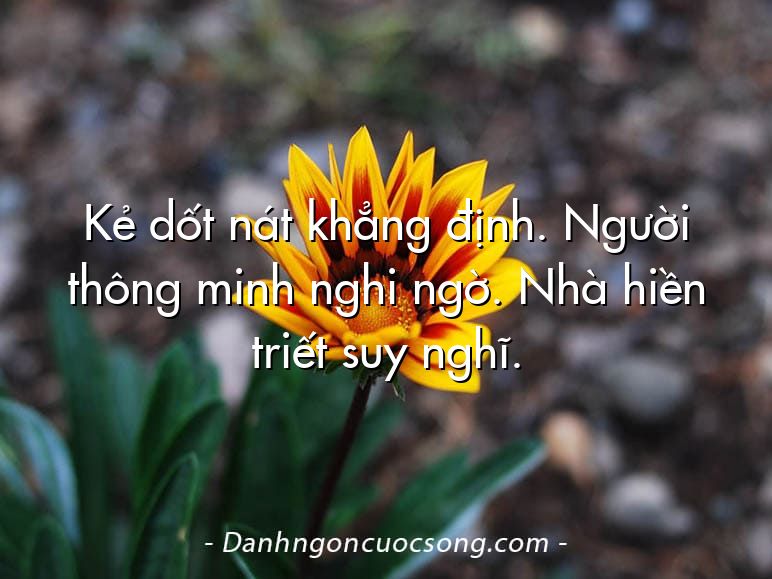 Kẻ dốt nát khẳng định. Người thông minh nghi ngờ. Nhà hiền triết suy nghĩ.