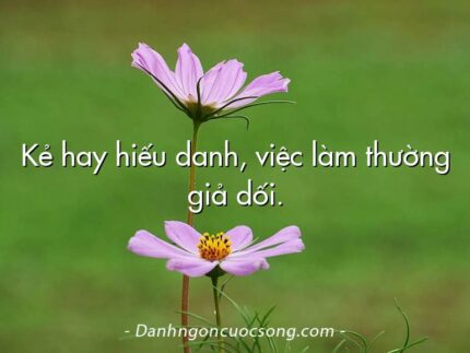 Kẻ hay hiếu danh, việc làm thường giả dối.