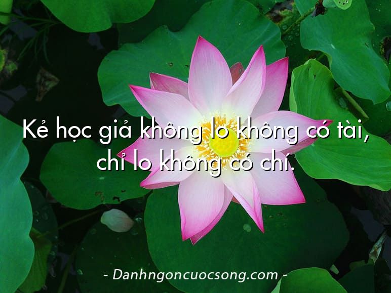Kẻ học giả không lo không có tài, chỉ lo không có chí.