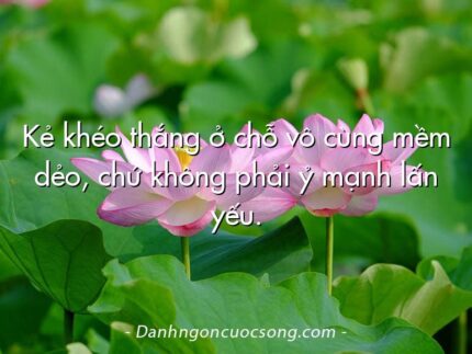 Kẻ khéo thắng ở chỗ vô cùng mềm dẻo, chứ không phải ỷ mạnh lấn yếu.