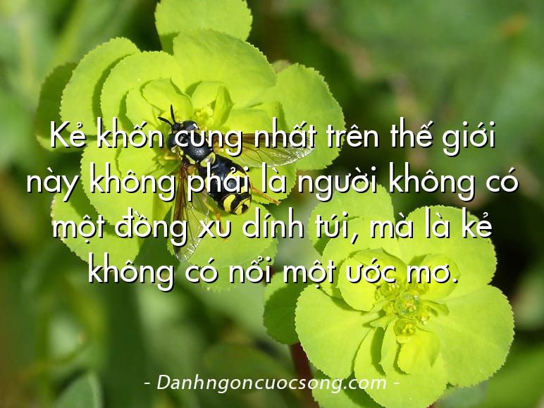 Kẻ khốn cùng nhất trên thế giới này không phải là người không có một đồng xu dính túi, mà là kẻ không có nổi một ước mơ.