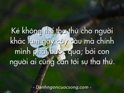 Kẻ không thể tha thứ cho người khác làm gẫy cây cầu mà chính mình phải bước qua; bởi con người ai cũng cần tới sự tha thứ.