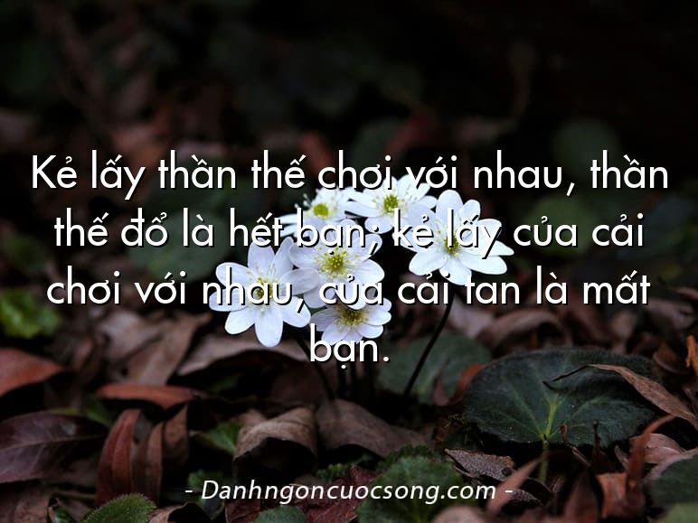 Kẻ lấy thần thế chơi với nhau, thần thế đổ là hết bạn; kẻ lấy của cải chơi với nhau, của cải tan là mất bạn.