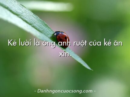 Kẻ lười là ông anh ruột của kẻ ăn xin.