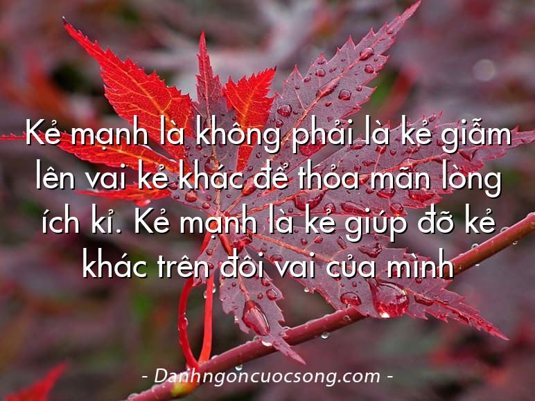 Kẻ mạnh là không phải là kẻ giẫm lên vai kẻ khác để thỏa mãn lòng ích kỉ. Kẻ mạnh là kẻ giúp đỡ kẻ khác trên đôi vai của mình