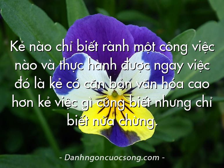 Kẻ nào chỉ biết rành một công việc nào và thực hành được ngay việc đó là kẻ có căn bản văn hóa cao hơn kẻ việc gì cũng biết nhưng chỉ biết nửa chừng.