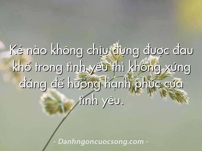 Kẻ nào không chịu đựng được đau khổ trong tình yêu thì không xứng đáng để hưởng hạnh phúc của tình yêu.