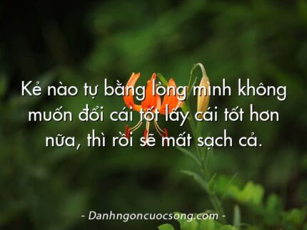 Kẻ nào tự bằng lòng mình không muốn đổi cái tốt lấy cái tốt hơn nữa, thì rồi sẽ mất sạch cả.