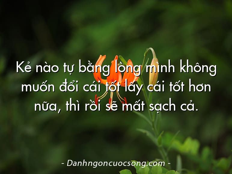 Kẻ nào tự bằng lòng mình không muốn đổi cái tốt lấy cái tốt hơn nữa, thì rồi sẽ mất sạch cả.