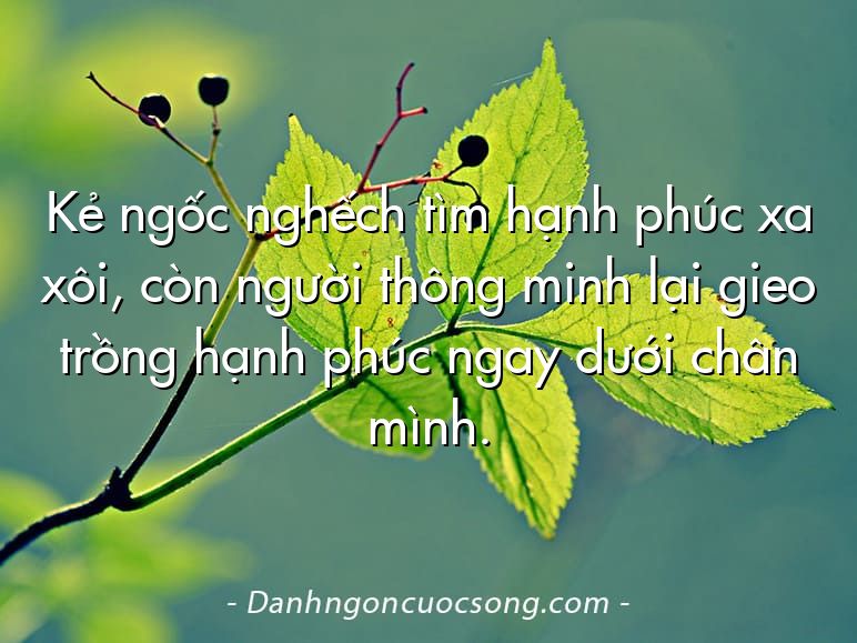 Kẻ ngốc nghếch tìm hạnh phúc xa xôi, còn người thông minh lại gieo trồng hạnh phúc ngay dưới chân mình.