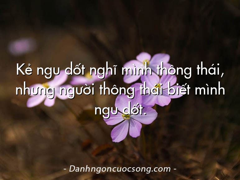 Kẻ ngu dốt nghĩ mình thông thái, nhưng người thông thái biết mình ngu dốt.